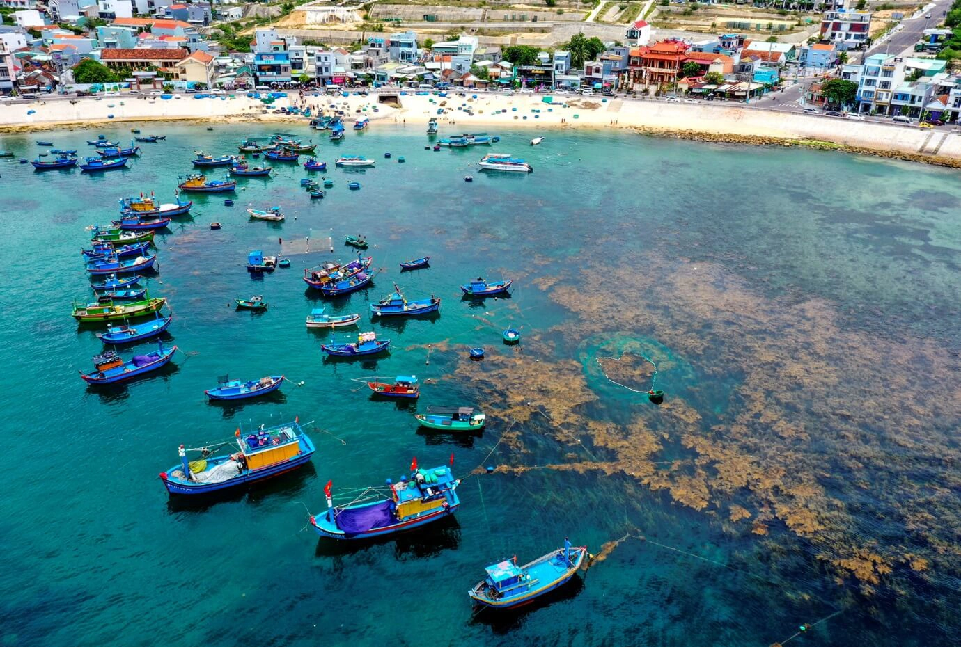 Private tour | The coral gardens of Hon Kho - Snorkeling & Island Adventure in Quy Nhon